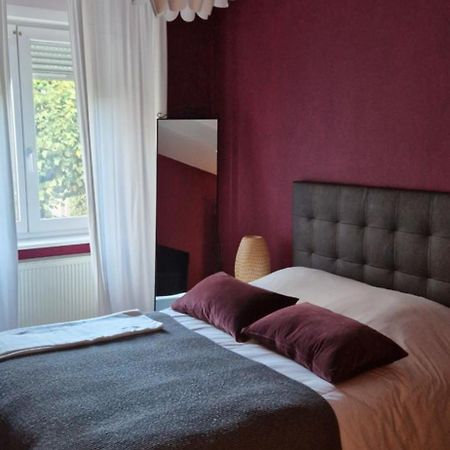 Cosy Appartement Complet Centre-Ville Монбельяр Екстер'єр фото