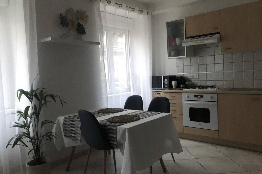 Cosy Appartement Complet Centre-Ville Монбельяр Екстер'єр фото