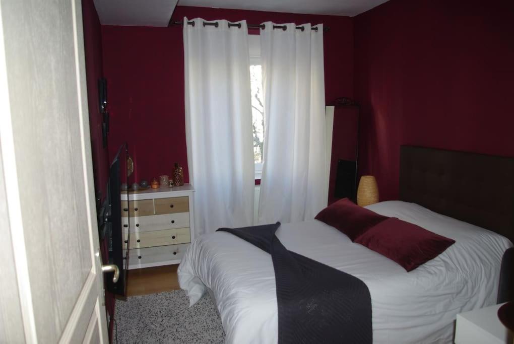 Cosy Appartement Complet Centre-Ville Монбельяр Екстер'єр фото
