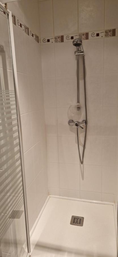 Cosy Appartement Complet Centre-Ville Монбельяр Екстер'єр фото