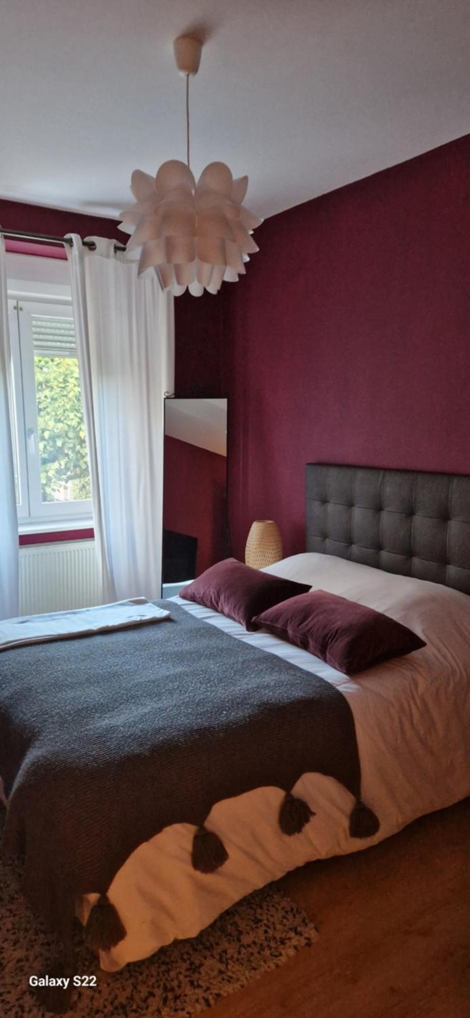 Cosy Appartement Complet Centre-Ville Монбельяр Екстер'єр фото