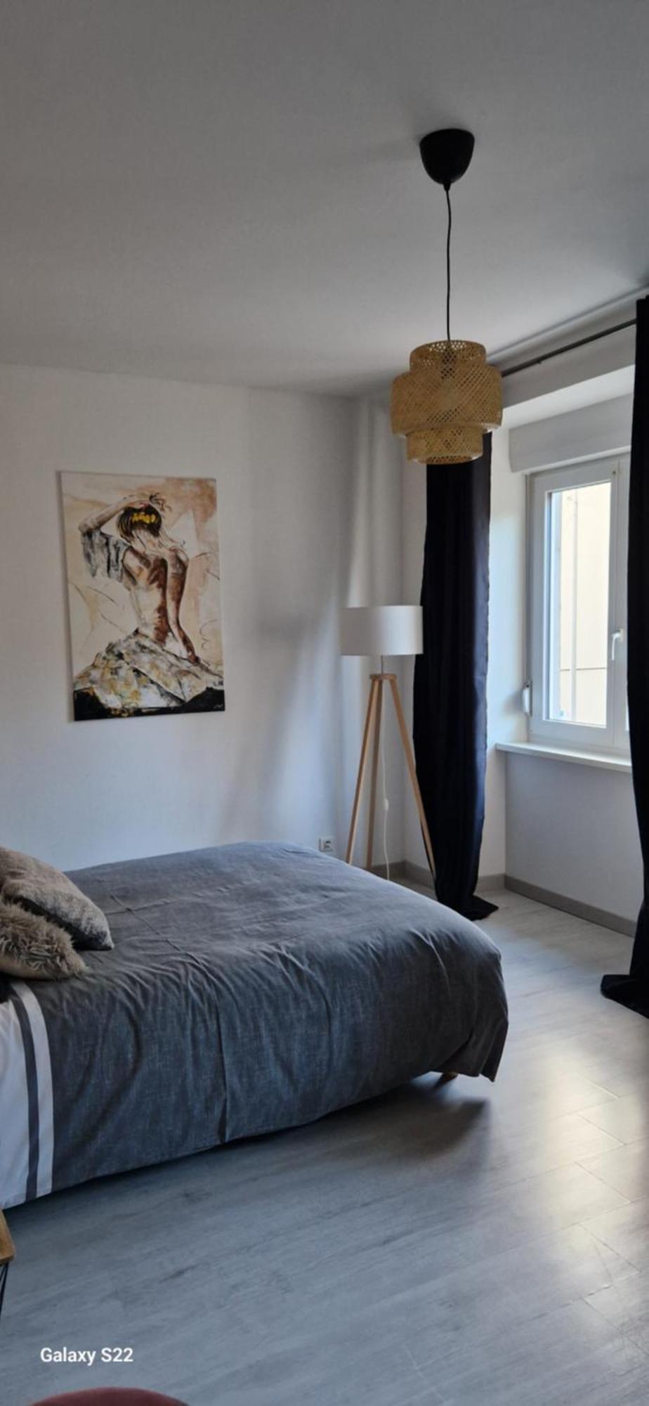 Cosy Appartement Complet Centre-Ville Монбельяр Екстер'єр фото
